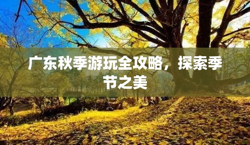 广东秋季游玩全攻略，探索季节之美