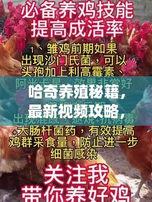 哈奇养殖秘籍，最新视频攻略，助力养殖业腾飞！掌握关键技巧，事业腾飞起点