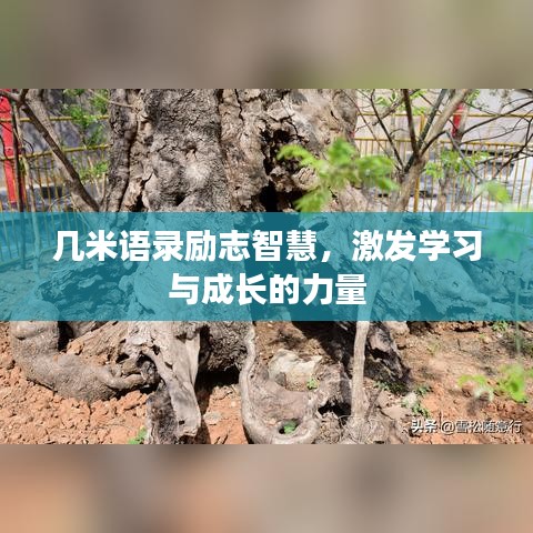 几米语录励志智慧，激发学习与成长的力量