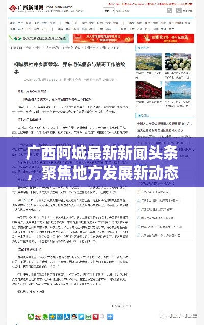 广西阿城最新新闻头条，聚焦地方发展新动态