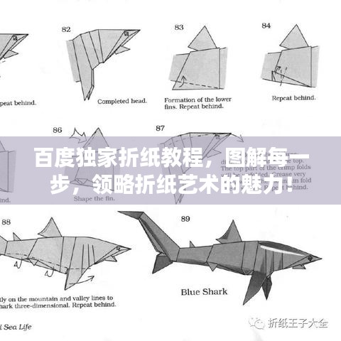 百度独家折纸教程，图解每一步，领略折纸艺术的魅力！