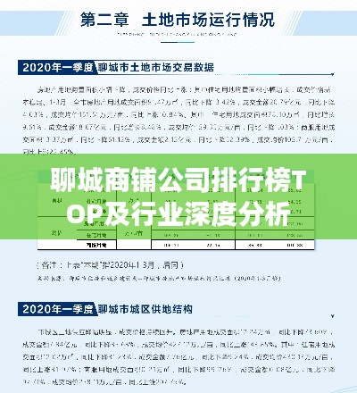 聊城商铺公司排行榜TOP及行业深度分析