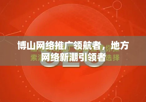 博山网络推广领航者，地方网络新潮引领者