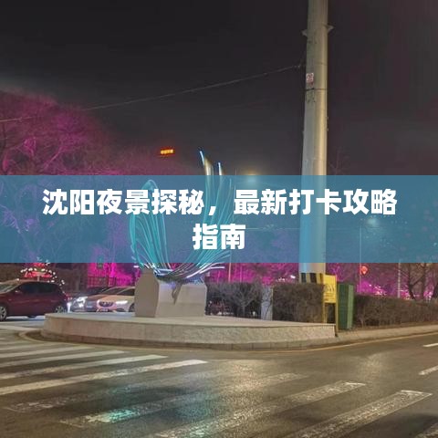 沈阳夜景探秘，最新打卡攻略指南
