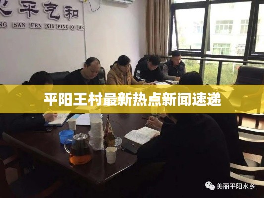 平阳王村最新热点新闻速递