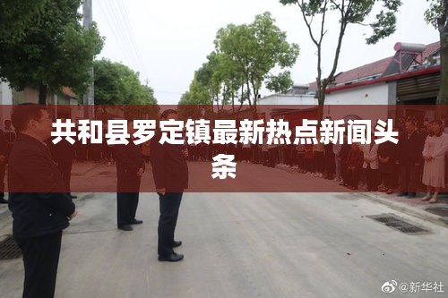 共和县罗定镇最新热点新闻头条