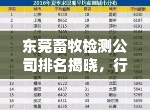 东莞畜牧检测公司排名揭晓，行业影响力不容小觑