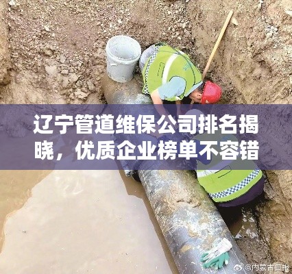 辽宁管道维保公司排名揭晓，优质企业榜单不容错过！