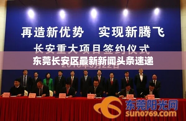 东莞长安区最新新闻头条速递