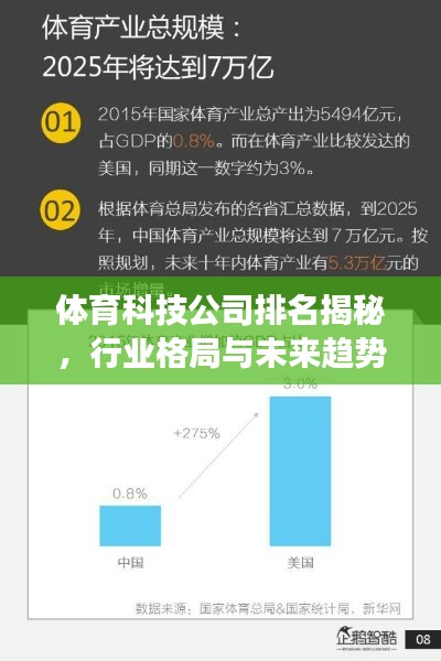 体育科技公司排名揭秘，行业格局与未来趋势展望