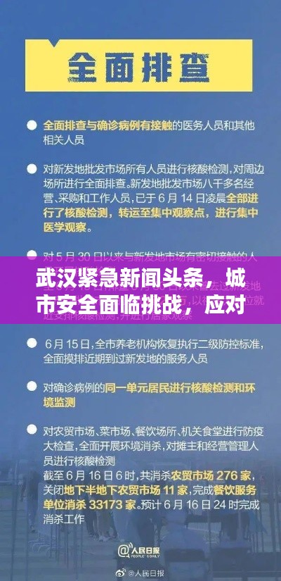 武汉紧急新闻头条，城市安全面临挑战，应对策略揭秘！
