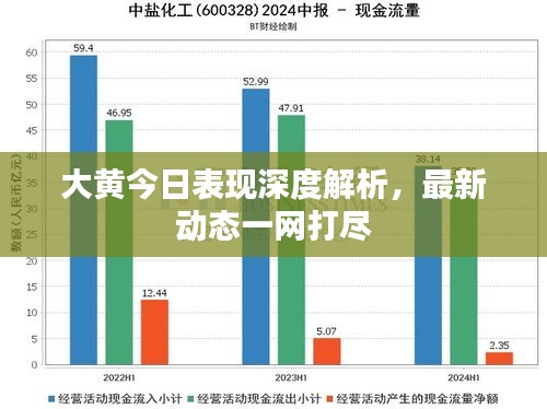 大黄今日表现深度解析，最新动态一网打尽