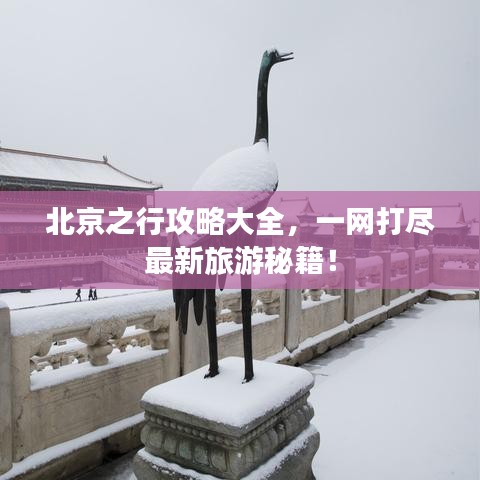 北京之行攻略大全，一网打尽最新旅游秘籍！