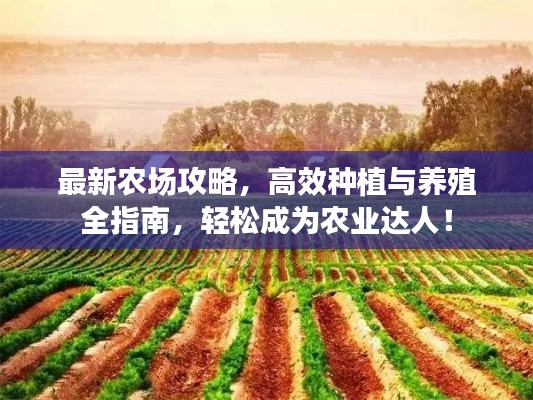 最新农场攻略，高效种植与养殖全指南，轻松成为农业达人！