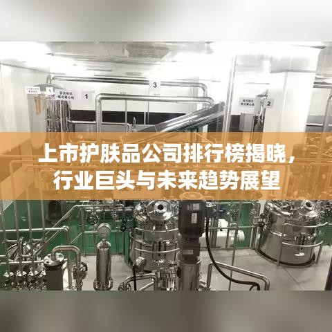 上市护肤品公司排行榜揭晓，行业巨头与未来趋势展望