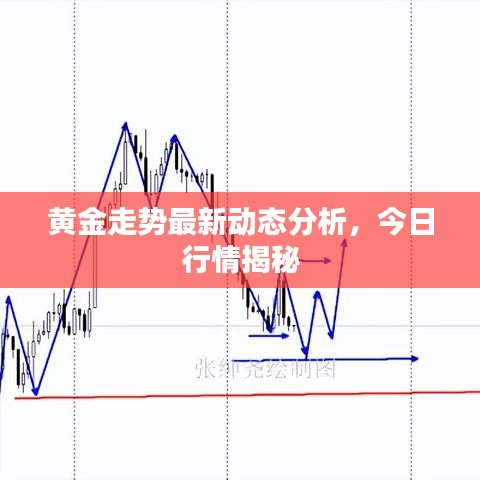 黄金走势最新动态分析，今日行情揭秘