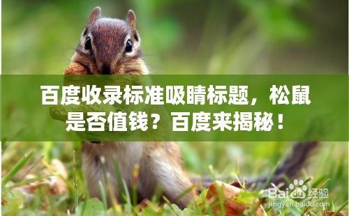 百度收录标准吸睛标题，松鼠是否值钱？百度来揭秘！