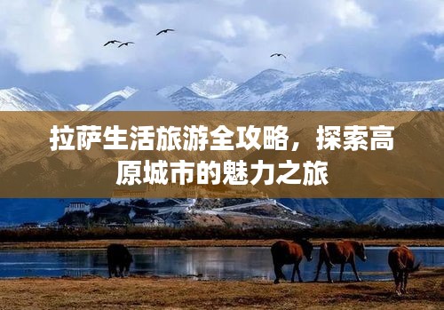 拉萨生活旅游全攻略，探索高原城市的魅力之旅