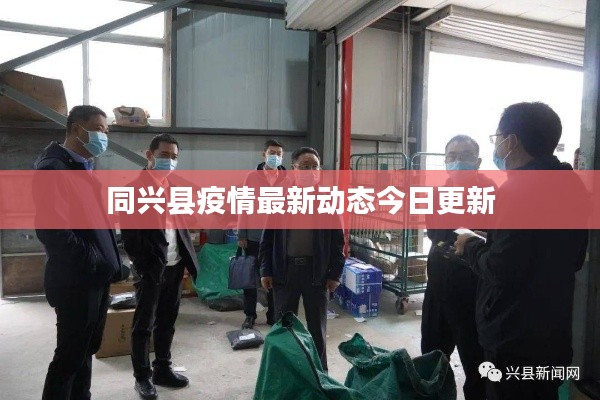 同兴县疫情最新动态今日更新