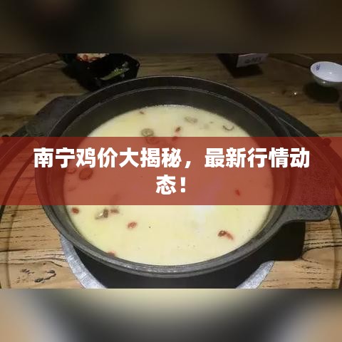 南宁鸡价大揭秘，最新行情动态！