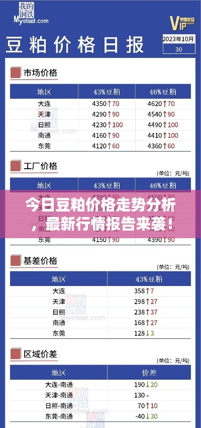 今日豆粕价格走势分析，最新行情报告来袭！