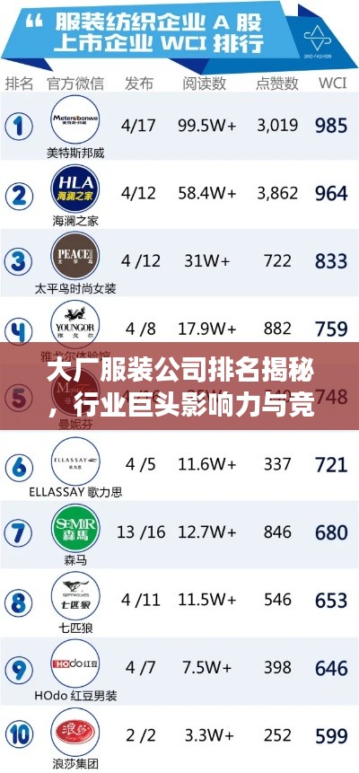 大厂服装公司排名揭秘，行业巨头影响力与竞争力一览