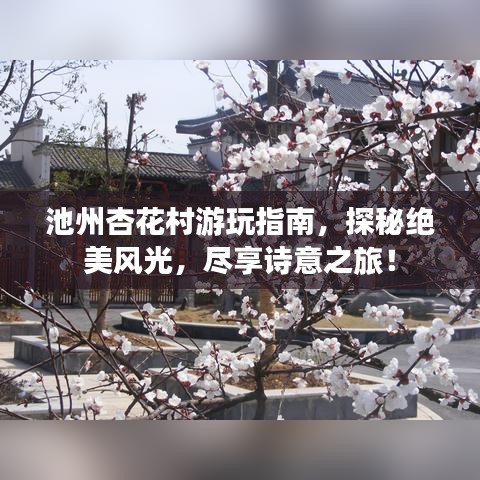 池州杏花村游玩指南，探秘绝美风光，尽享诗意之旅！