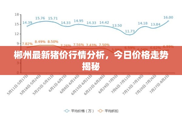 郴州最新猪价行情分析，今日价格走势揭秘