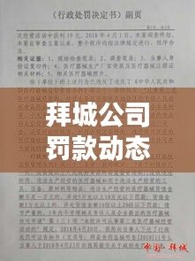 拜城公司罚款动态，最新消息权威发布
