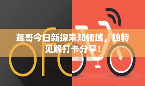 辉哥今日新探未知领域，独特见解打卡分享！