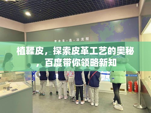 植鞣皮，探索皮革工艺的奥秘，百度带你领略新知