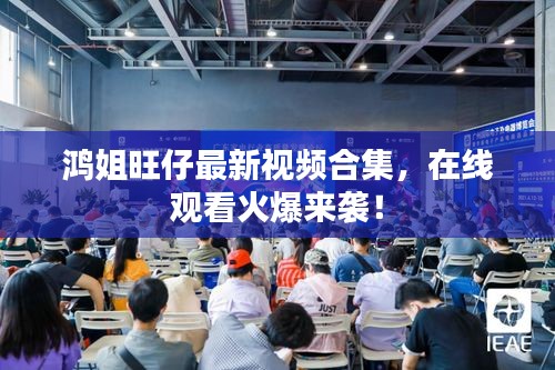鸿姐旺仔最新视频合集，在线观看火爆来袭！