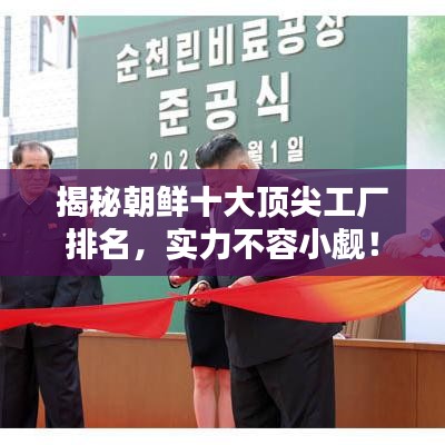 揭秘朝鲜十大顶尖工厂排名，实力不容小觑！