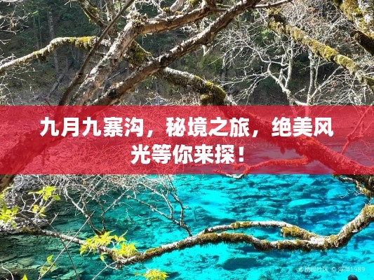 九月九寨沟，秘境之旅，绝美风光等你来探！
