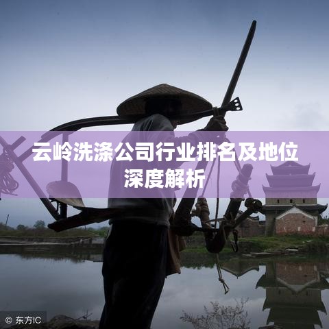 云岭洗涤公司行业排名及地位深度解析