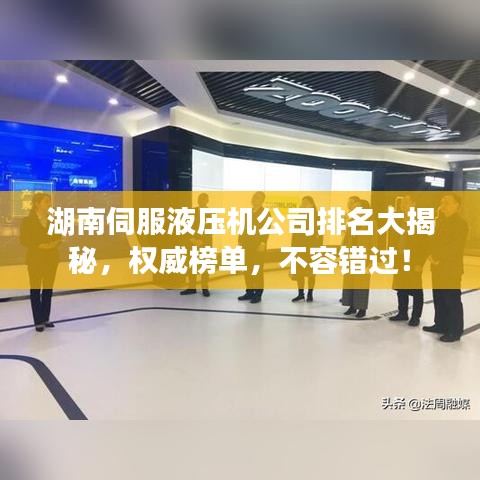 湖南伺服液压机公司排名大揭秘，权威榜单，不容错过！
