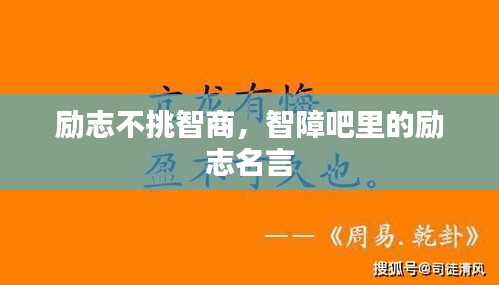 鸟吏鳖官
