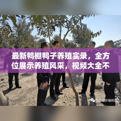 最新鸭棚鸭子养殖实录，全方位展示养殖风采，视频大全不容错过