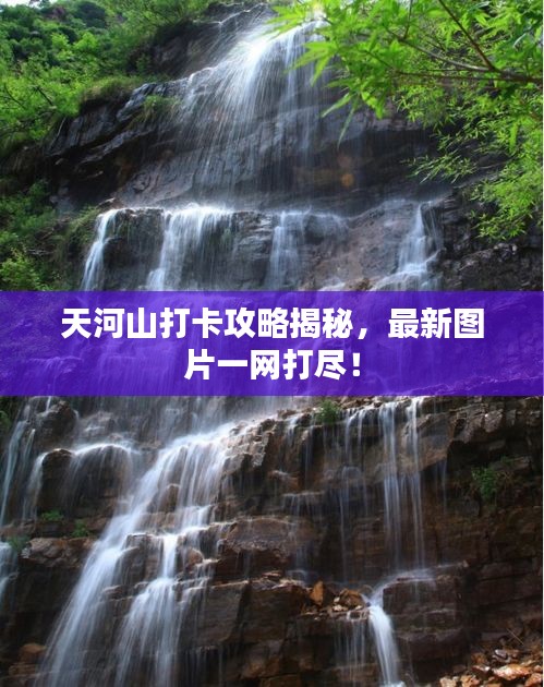 布衣蔬食