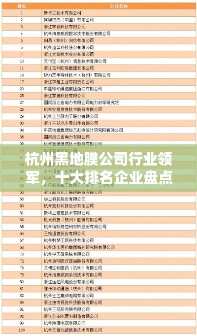 杭州黑地膜公司行业领军，十大排名企业盘点