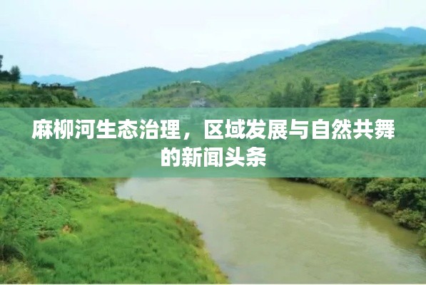 麻柳河生态治理，区域发展与自然共舞的新闻头条