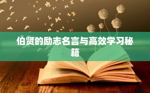 伯贤的励志名言与高效学习秘籍