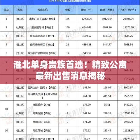 淮北单身贵族首选！精致公寓最新出售消息揭秘
