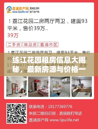 练江花园租房信息大揭秘，最新房源与价格一览