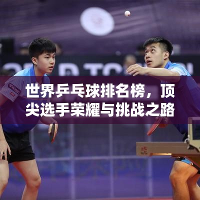 世界乒乓球排名榜，顶尖选手荣耀与挑战之路揭秘