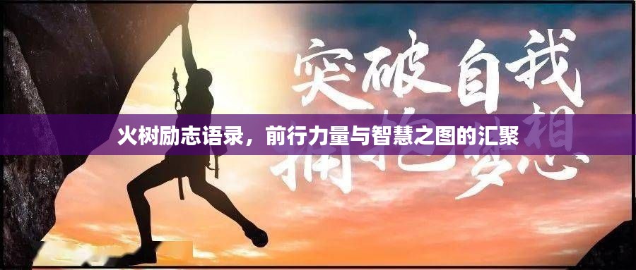 火树励志语录，前行力量与智慧之图的汇聚