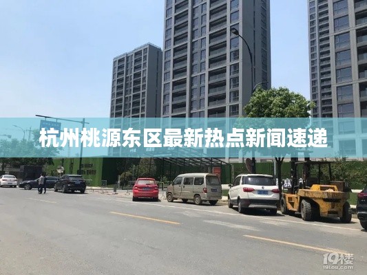 杭州桃源东区最新热点新闻速递