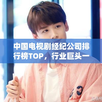 中国电视剧经纪公司排行榜TOP，行业巨头一览