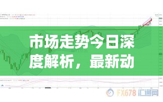 市场走势今日深度解析，最新动态一网打尽