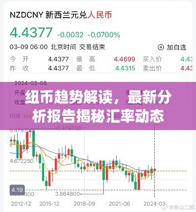 纽币趋势解读，最新分析报告揭秘汇率动态